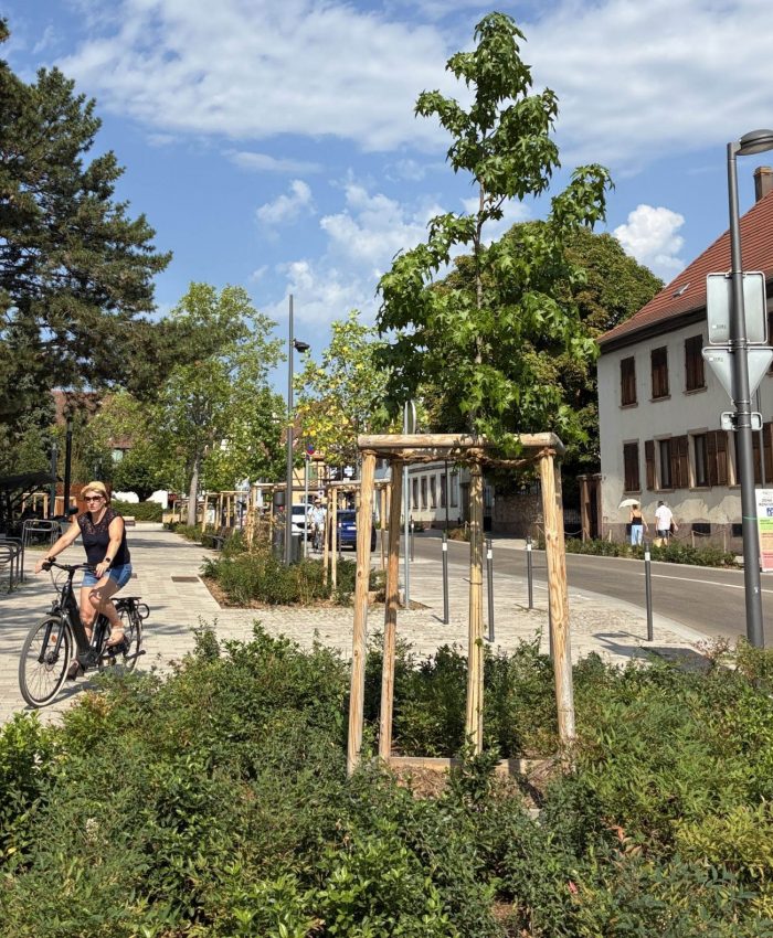 Obernai